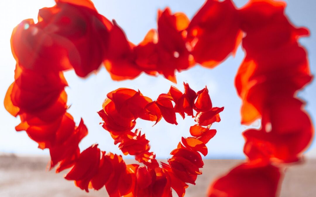 Ali ljubiš preveč?